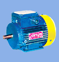 AIR Series Three-Phase Asynchronous Motors (shaft height 200, 225 and 250), construction IM1081 (legs)