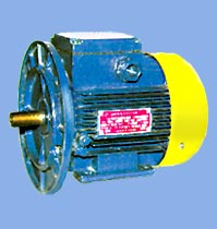 AIR Series Three-Phase Asynchronous Motors (shaft height 132, 160 and 180) IM2081 (combined)