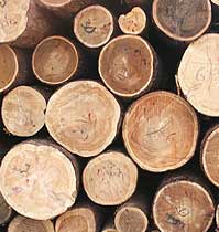 Сравнительные характеристики основных пород древесины